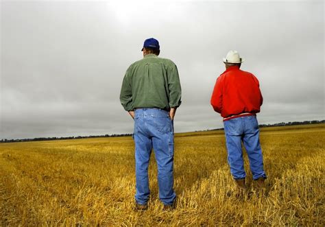 In 2016, small family farms accounted for 89.9 percent of all farms, yet received 27 percent of commodity payments and 17. Protectionism, a trade war and U.S. farm subsidies ...