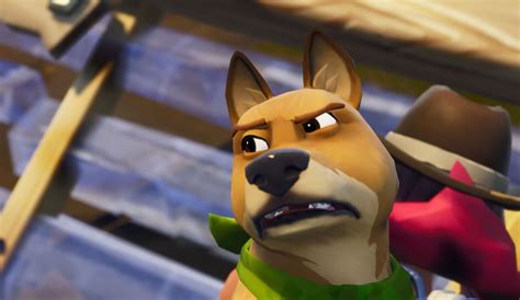 Fortnite Has Dogs Now Which Is Great Until You Ask What
