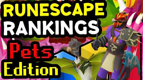 Ranking All Pets In Osrs From Worst To Best Runescape Rankings Youtube