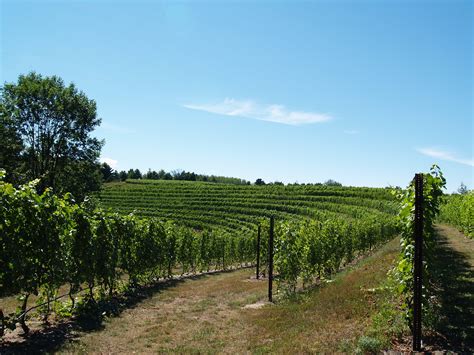 Black Star Farms Vineyard Iv Leelanau Peninsula Wine Trail Flickr