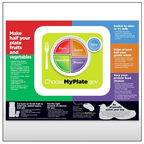 Usda Myplate Poster Creative Health Products