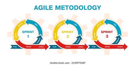 Agile Project Management Development Methodology Infographic Stock