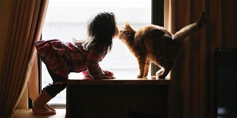 Fotos De Niños Jugando Con Gatos