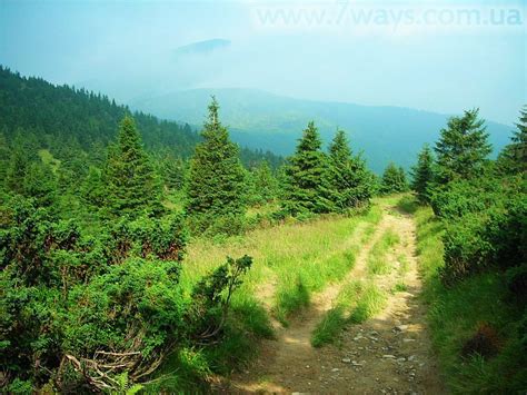 The Carpathian Mountains Ukraine Photo 20937574 Fanpop