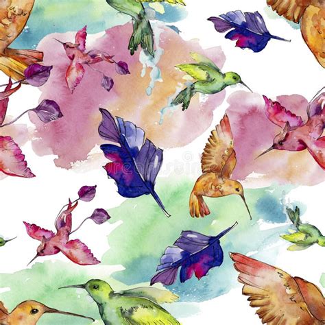 Sky Bird Colorful Colibri In A Wildlife By Watercolor Style Seamless