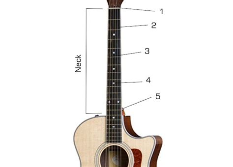 Mengenal Bagian Bagian Pada Gitar