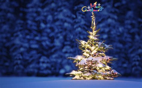 Download 40 Beautiful Christmas Tree Wallpaper Free