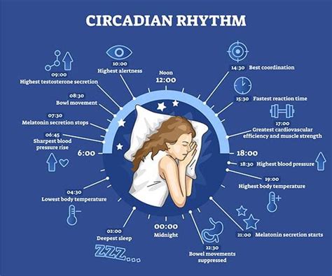 Circadian Rhythm What Is It Is Yours Working And How To Reset It If