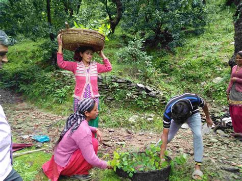 The Role Of Local Communities In Conservation Grow Trees Blog