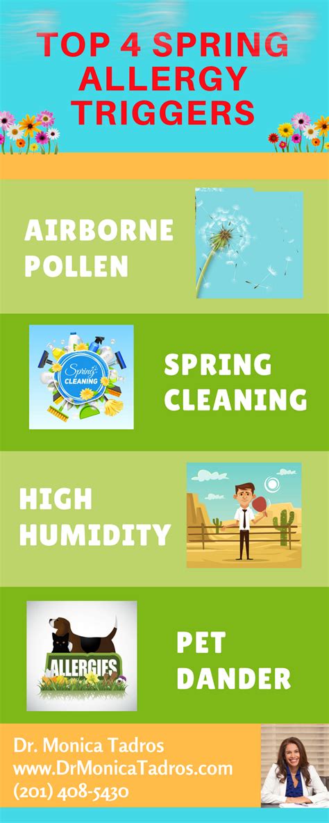 Top 4 Spring Allergy Triggers Infographic