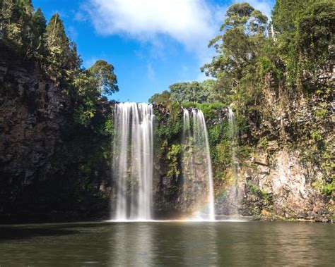 Visit Dangar Falls In Dorrigo Sydney Uncovered