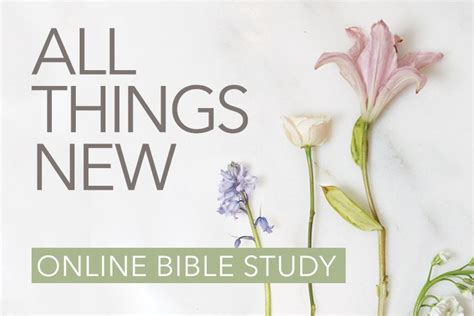 A book could be written covering these and other subjects. All Things New Online Bible Study | Session 1 - LifeWay ...