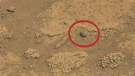 Nasas Curiosity Rover Has Discovered An Unusual Rock Possibly A