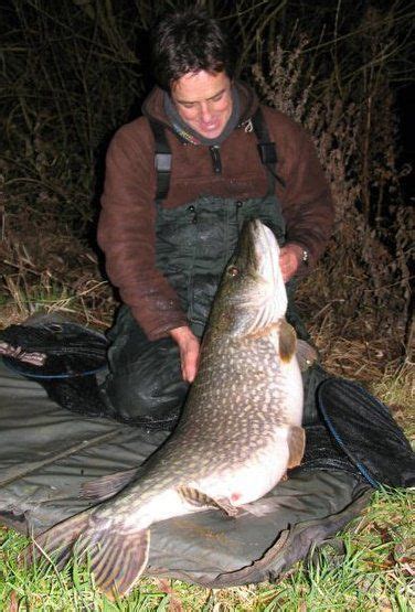 River Thames Fishing Recommended By Uk