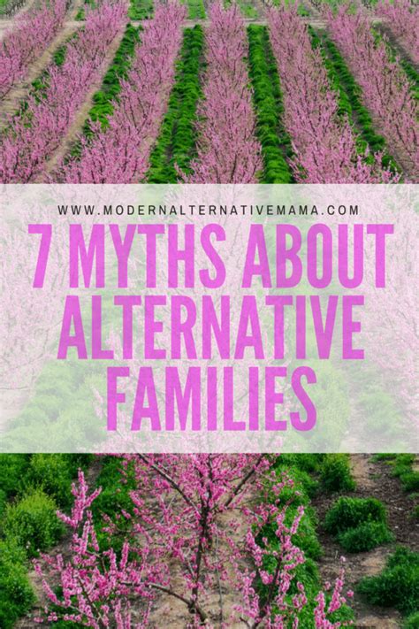 7 Myths About Alternative Families Modern Alternative Mama