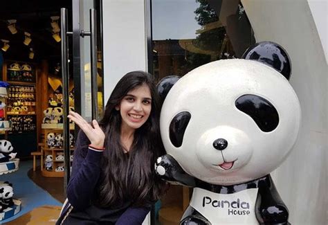 Panda Discovery Chengdu China Hours Address Tripadvisor