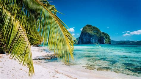 Caribbean Beach - Zoom Background Templates Tropical Holiday, Beach ...