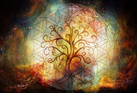 Tree Of Life Symbol And Flower Of Life And Space Background Yggdrasil Kratom Of Life