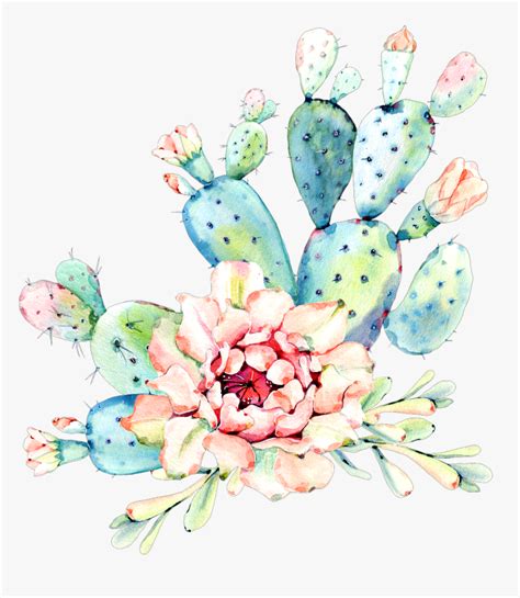 Hand drawn vector abstract graphic creative succulent,cactus and plants collection set abstract fractal art color structure fantasy. #cactus #flower #watercolor #art #desert - Cactus, HD Png ...