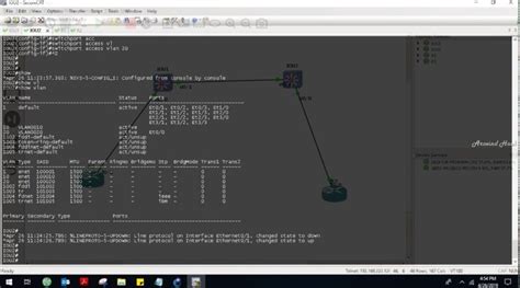 How To Configure Vlan Trunk Port On Cisco Switch Ccna Lab 15
