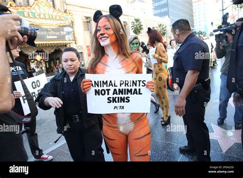 December Hollywood Ca Bodypainted Peta Supporters Urged Los Angeles Shoppers To