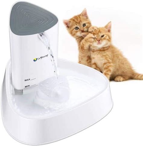 The 9 Best Dog Water Fountains To Buy In 2024 Petmag