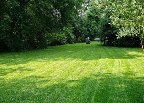 Proven Ways To Keep Your Lawn Green And Healthy Home Funding Corp