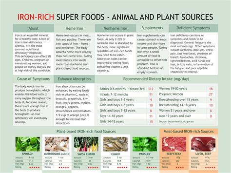 Iron Rich Food Chart Digital Download Pdf Ron Levels Chart Etsy Singapore