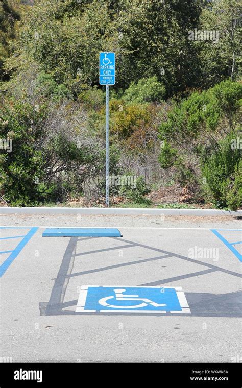 Disabled Parking Spot Transportation Infrastructure Road Markings