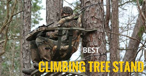 Best Climbing Tree Stands To Bag That Buck Elite Huntsman