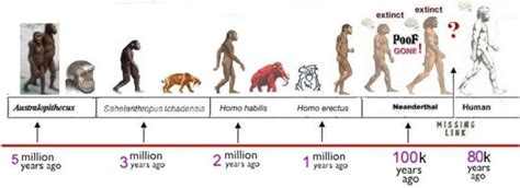 Stages of human evolution pictures. A Debate with an Atheist: The Story of Creation (17-C ...
