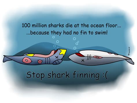 Stop Shark Finning By Pseudolw On Deviantart