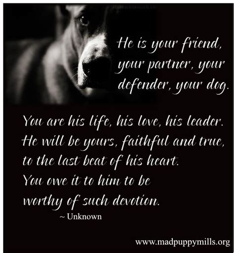 Dogs Love Quotes For Facebook Quotesgram