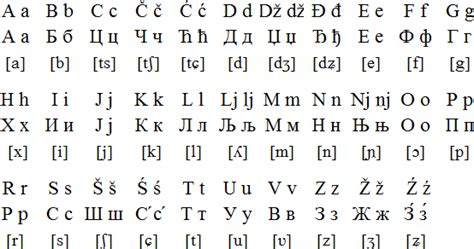 Language Muse Serbian Bosnian Croatian And Montenegrin Alphabet