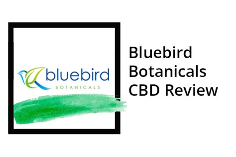 Bluebird Botanicals Cbd Review Leaf Expert