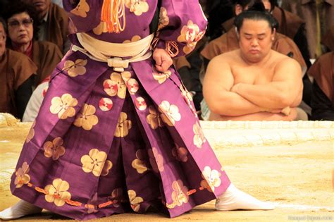Sumo Tournaments In Japan A Complete Guide