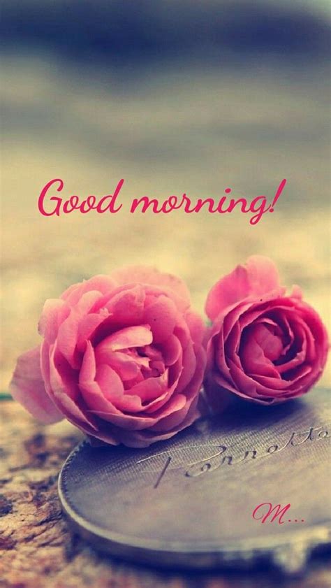 Pin By Mamta Yadav On Good Morning Wallpaper Iphone Roses Iphone 5s