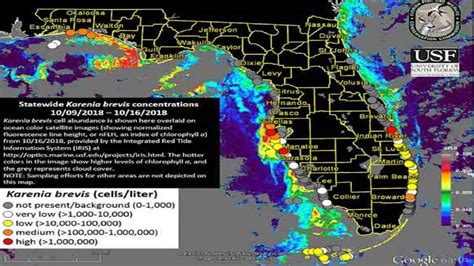 Map Of Florida Red Tide