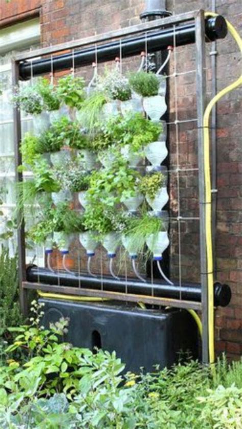 Aquaponics Wall Vertical Hydroponics Hydroponic Farming Hydroponic