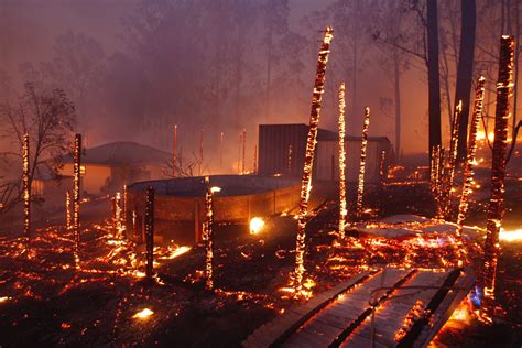 Photos Show The Devastating Impact Of Eastern Australia S Bushfires Science