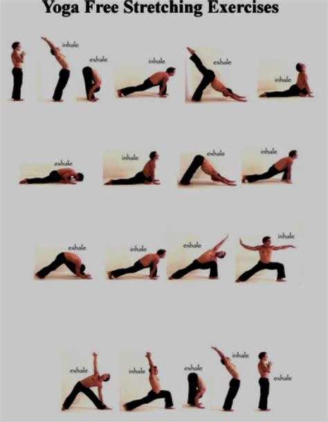 Exclusive Physiotherapy Guide For Physiotherapists Yoga Free