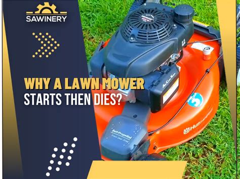 Lawn Mower Starts Then Dies Troubleshooting Tips 2023
