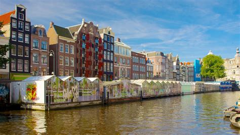 Check spelling or type a new query. TOP Amsterdam City Centre All-inclusive Hotels for 2021 ...