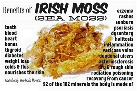 Check out our sea moss capsules selection for the very best in unique or custom, handmade pieces from our supplements shops. Irish Moss (Sea Moss) Dr.Sebi | Remedies | Pinterest ...