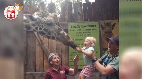 Funny Zoo Animals Scaring Kids Funniest Animals Videos 2019 Cute Az