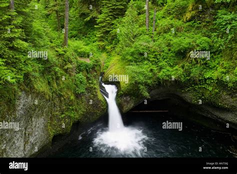 Punch Bowl Falls In Columbia River Gorge Stock Photo Alamy