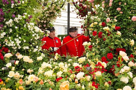 Chelsea Flower Show Sees Worlds Best Gardeners Show Off Their Blooms
