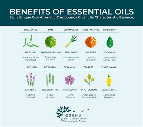 Why You Should Incorporate Essential Oils Into Your Wellness Routine