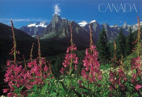 Kuns Postcrossing Canadian Rocky Mountain Parks