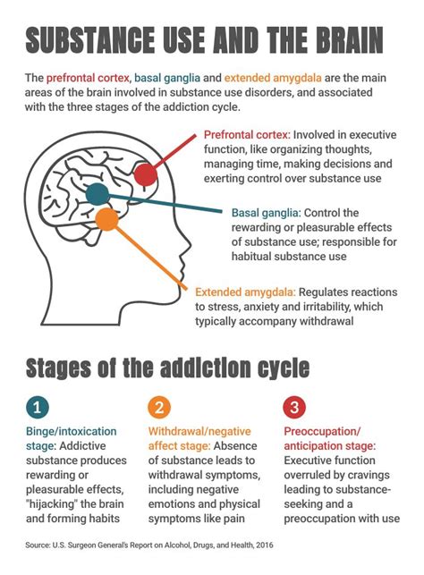 what causes addiction a look at the science behind the cycle witf
